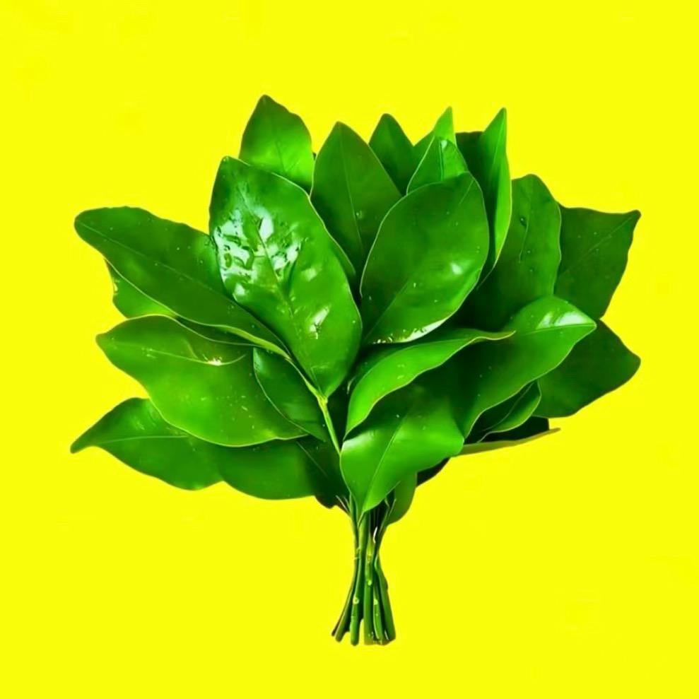 心桐ᥫᩣ༠ʰᵒⁱⁱᵈᵃʸ 🐾