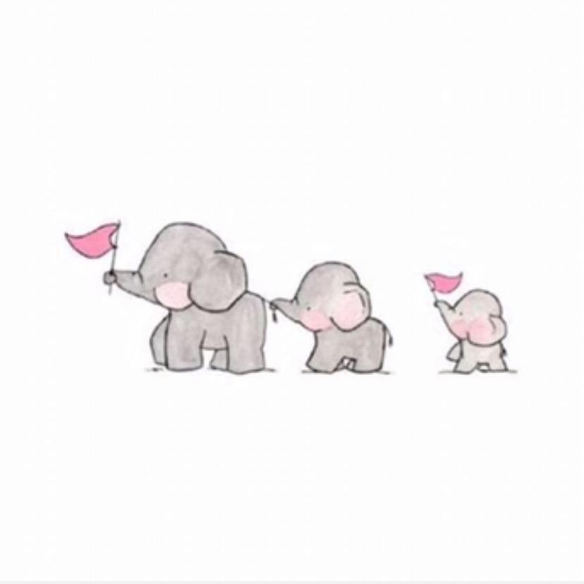 来只小呢呢