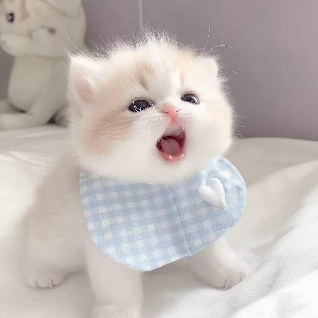 纯真