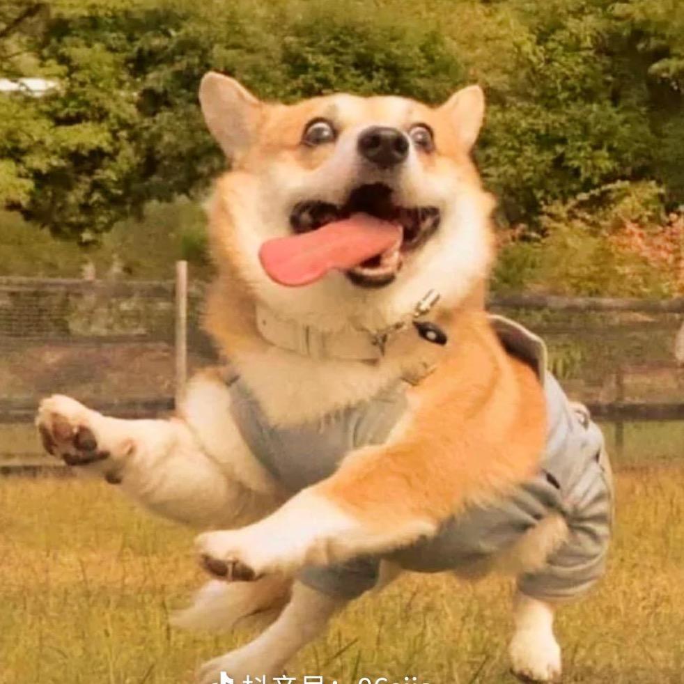 辞呦