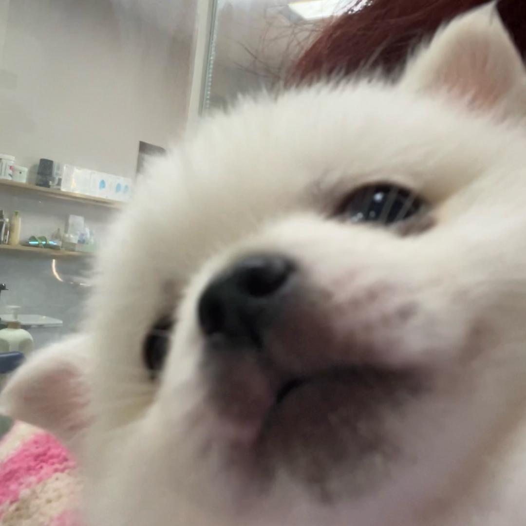 钰米洁洁