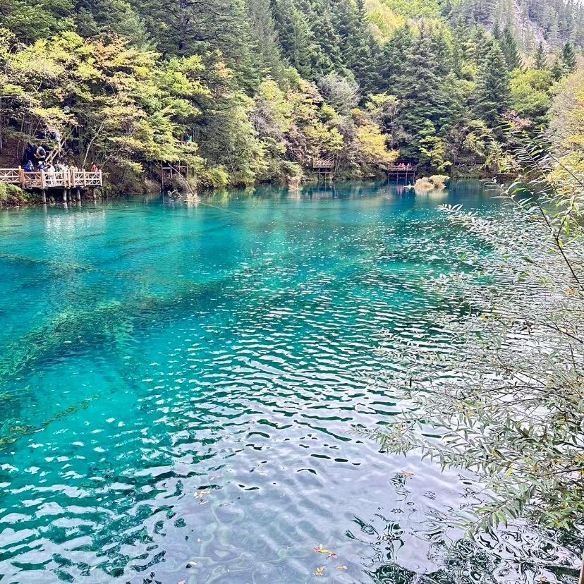 文明的土匪