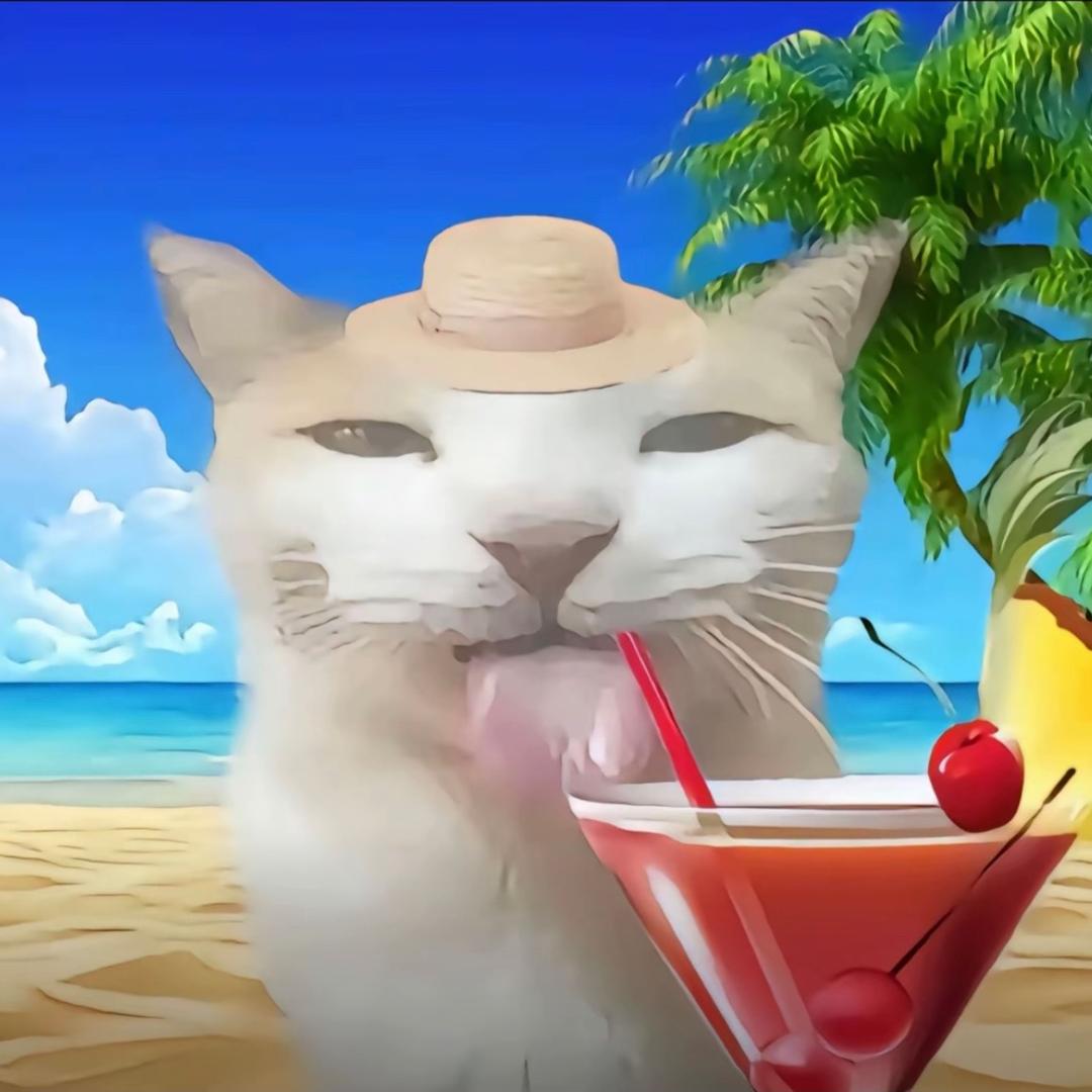 小猫会cc