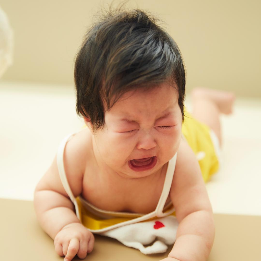 洛一宝宝🍼