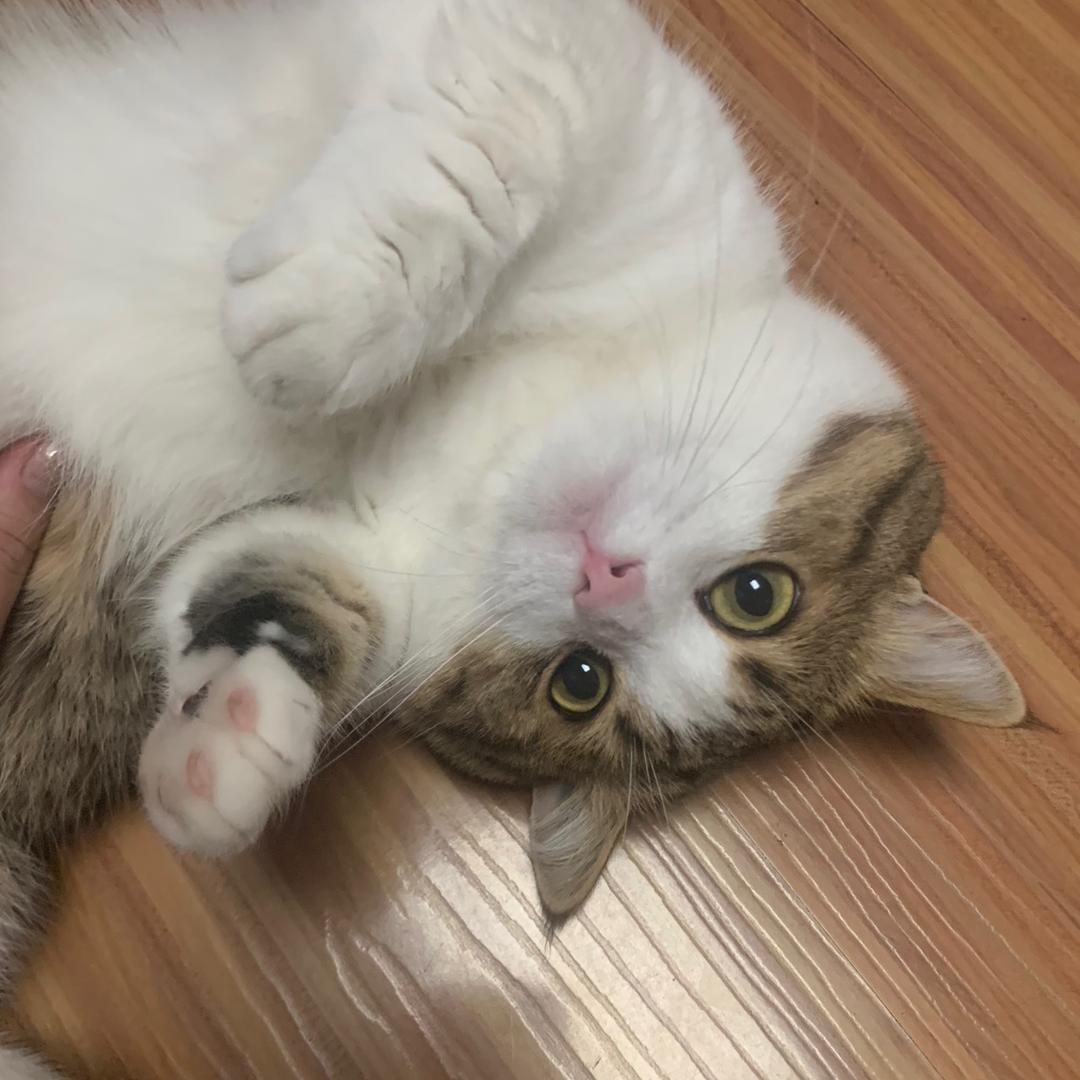 ♡给你一个啵啵♡
