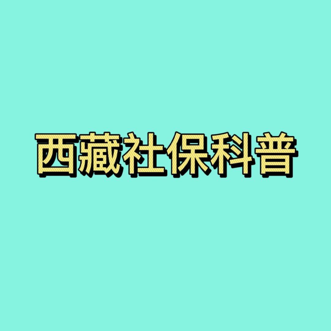 西藏企业通