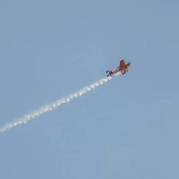 🇨🇳兴平阳光晒加州