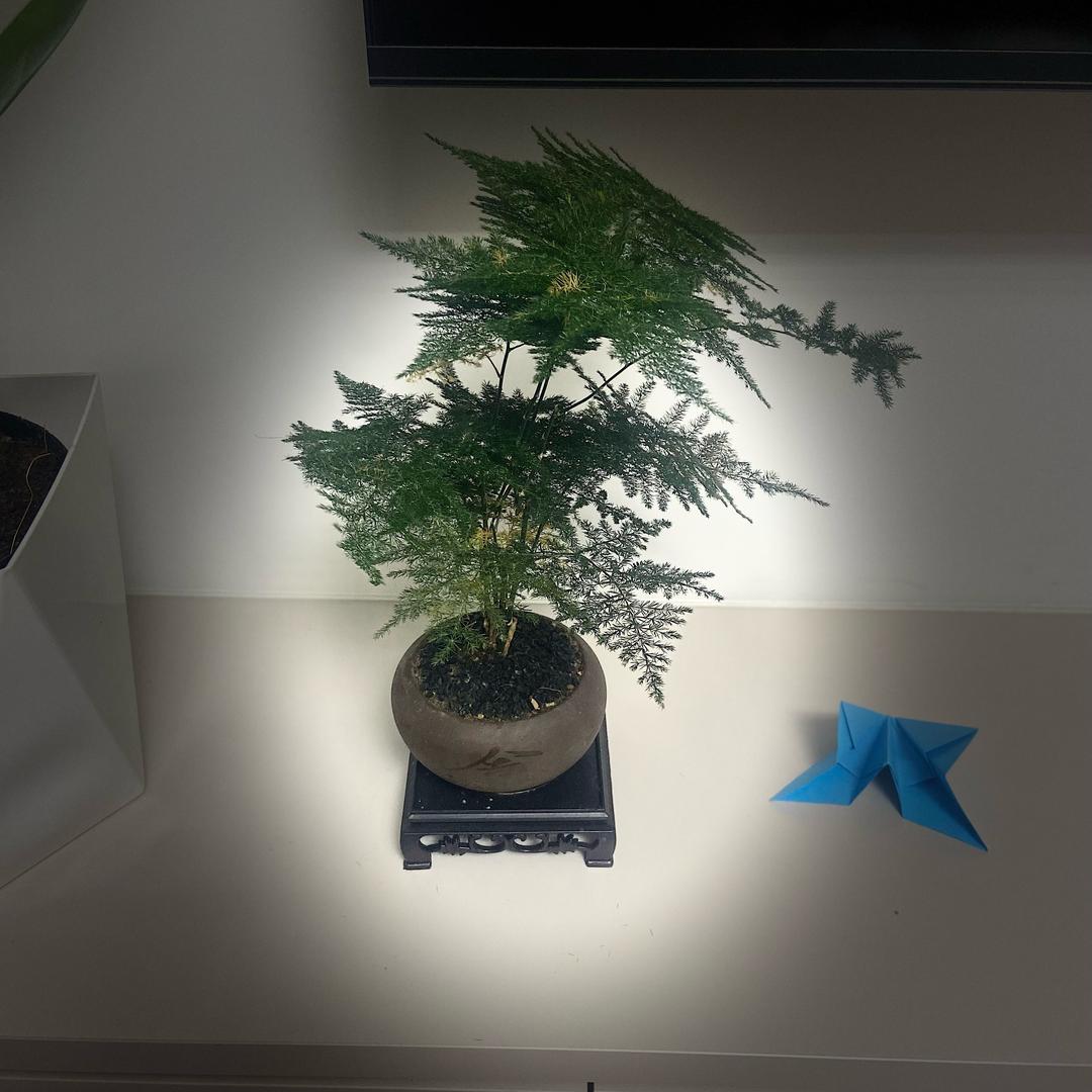 追忆似水年华