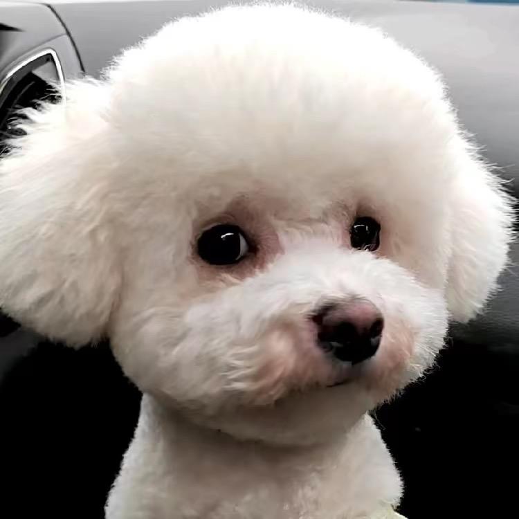 小卷卷