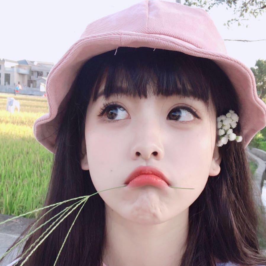 香菜大人