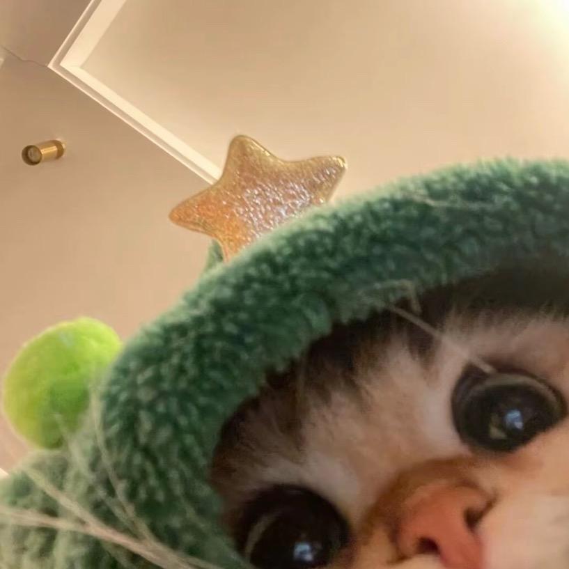 小鹤.