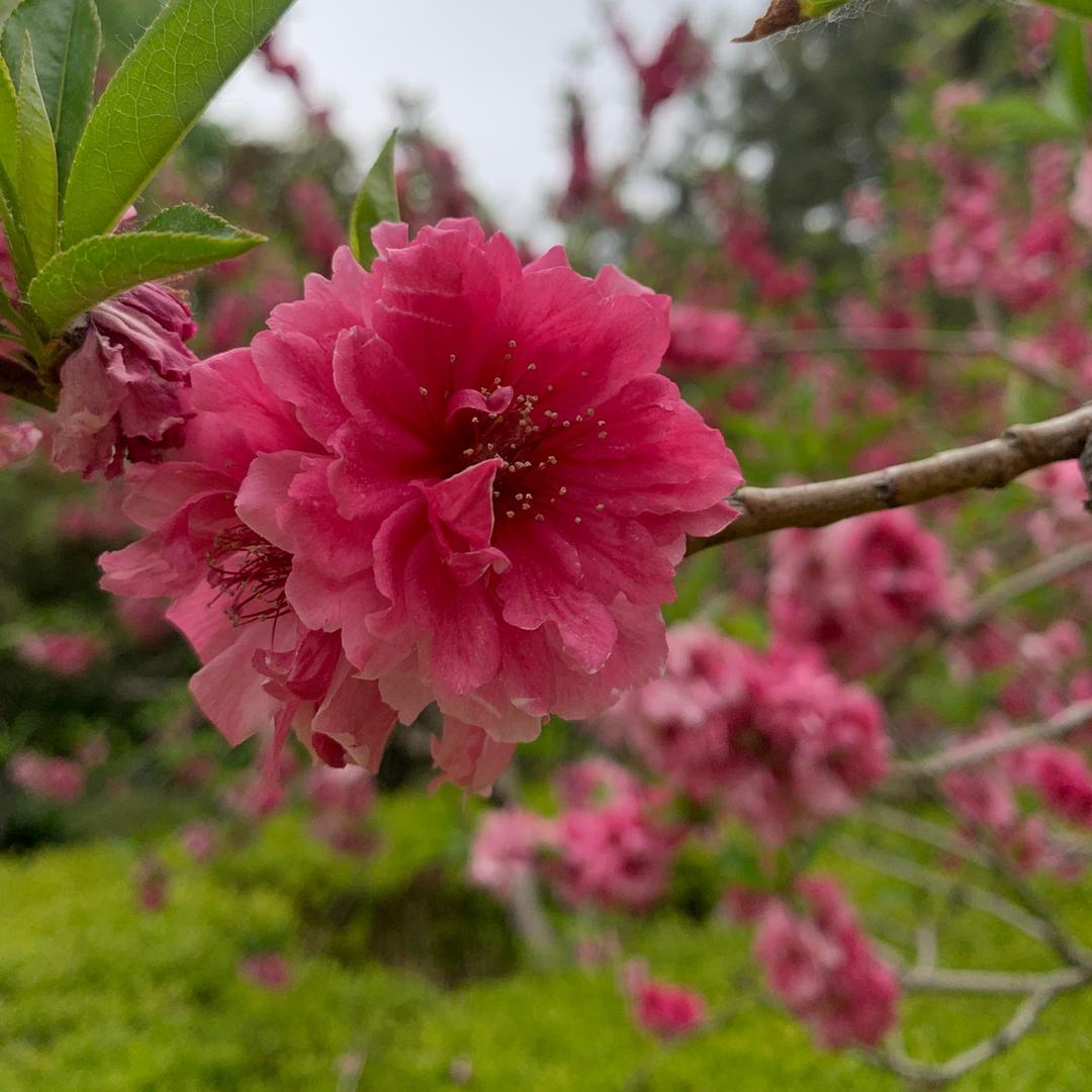 在路上的风景🫦