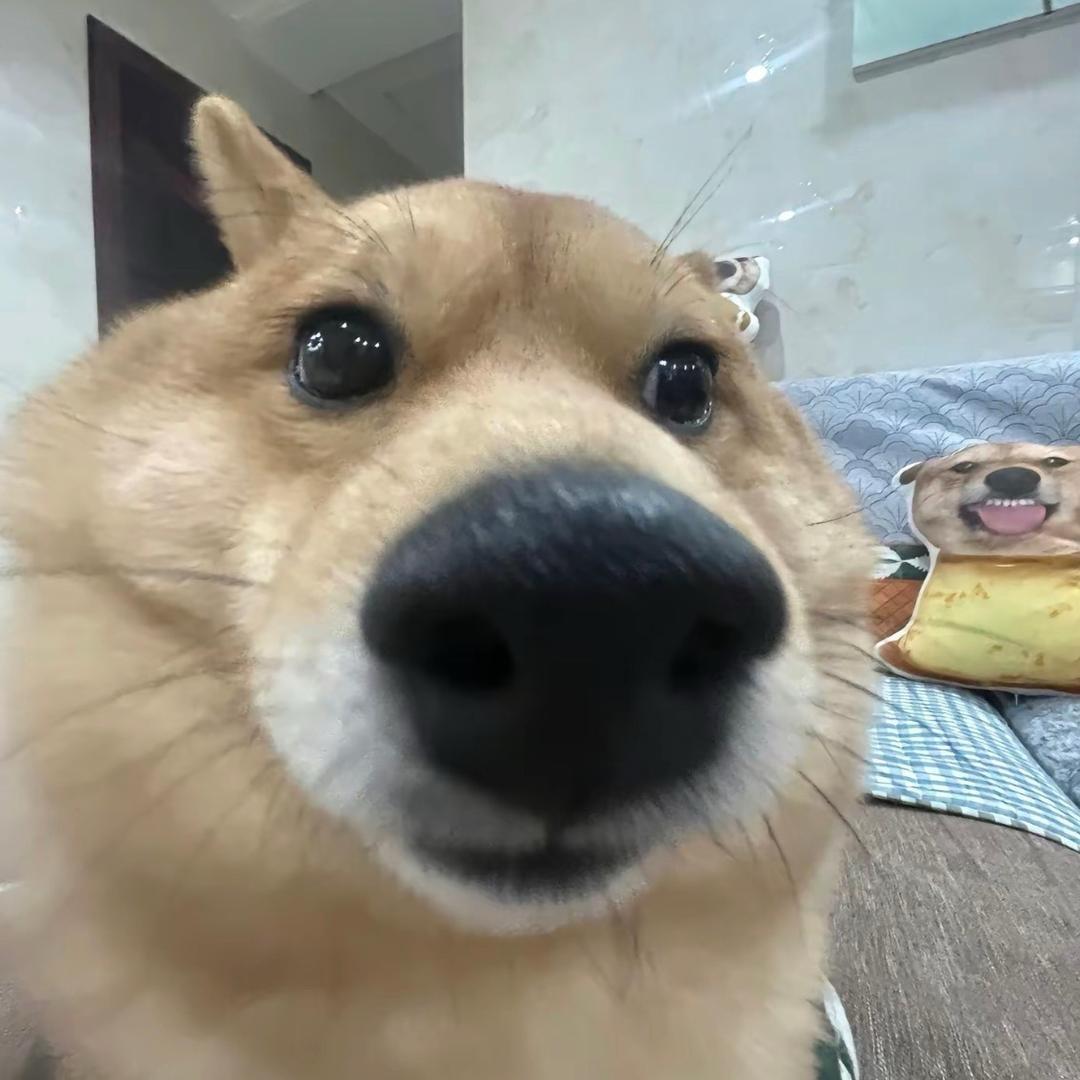 衡情海