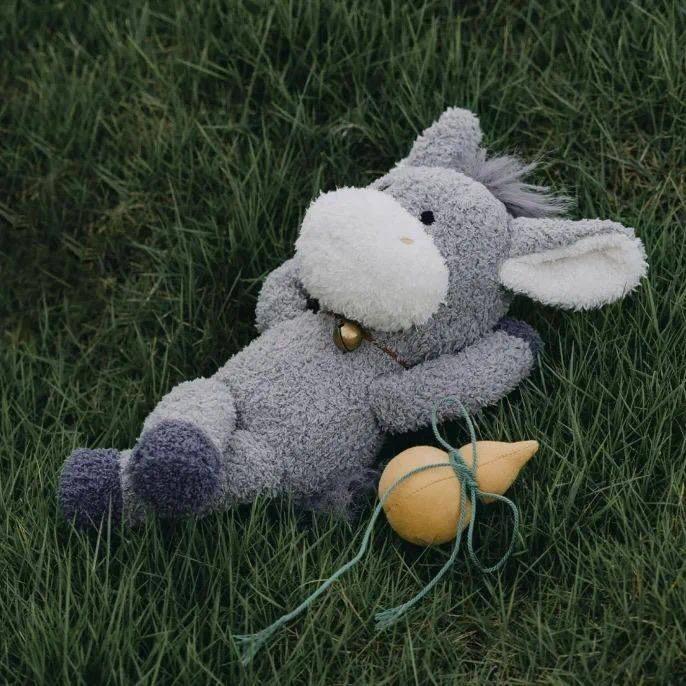 请去明天遇见我