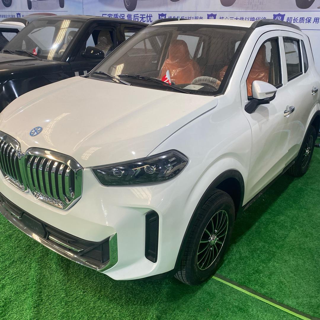 腾飞新能源代步车