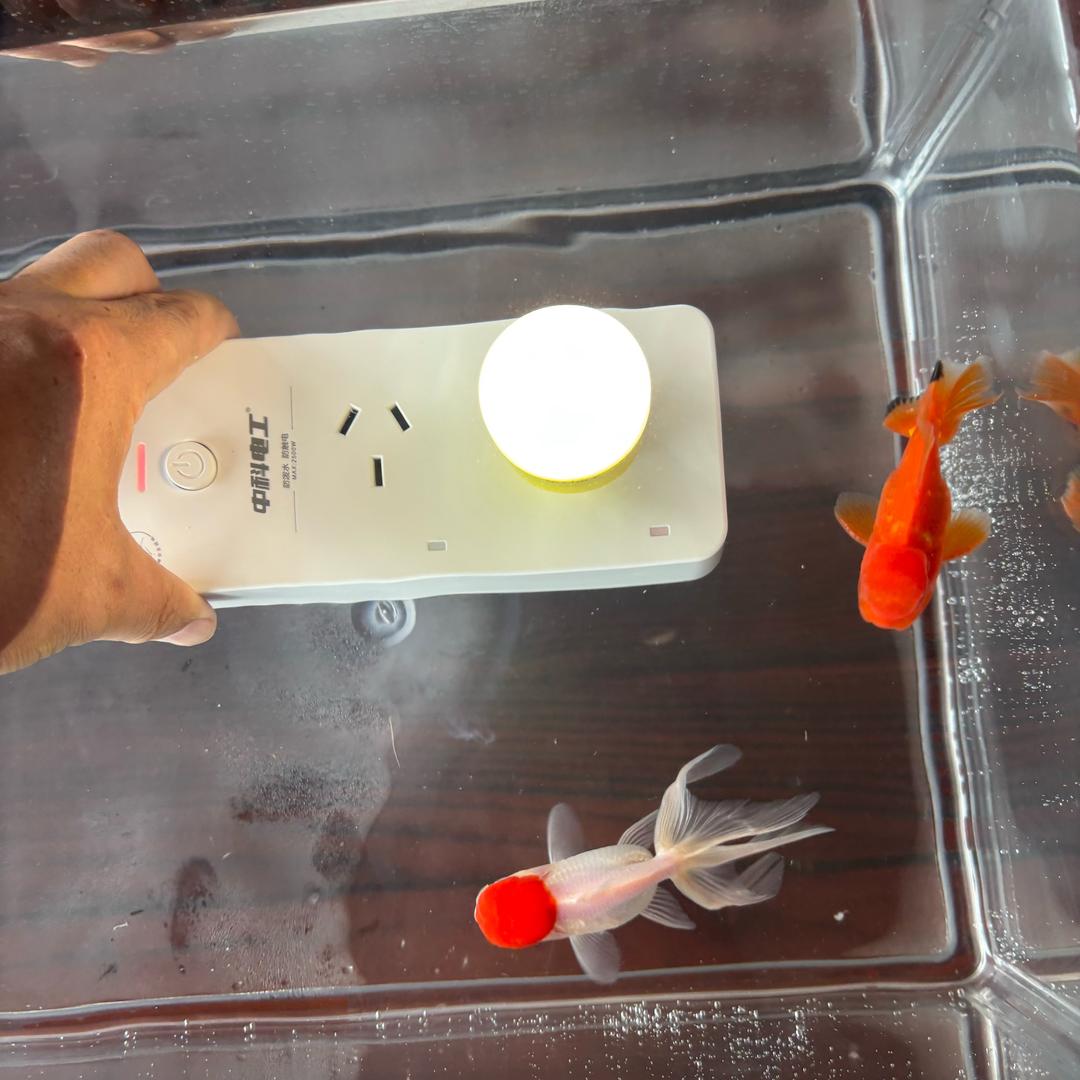 会游泳的插线板