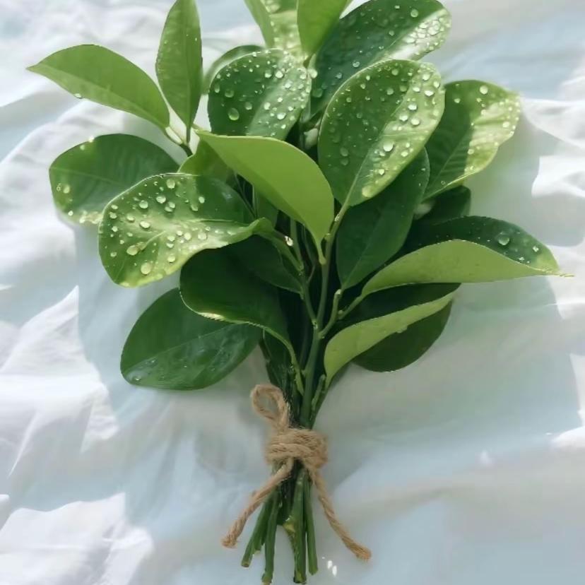 D.X大希女装工厂2店