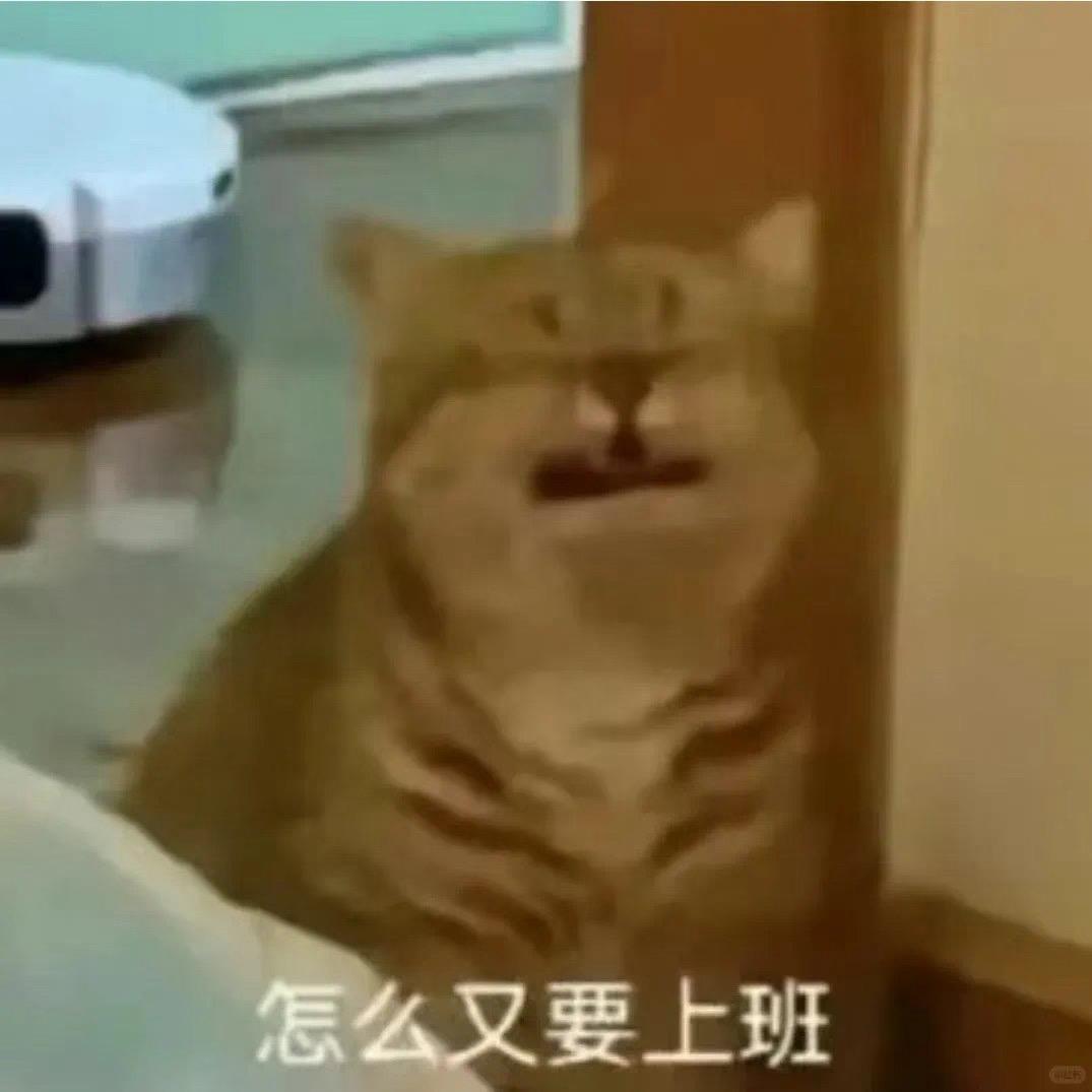 🥥仔