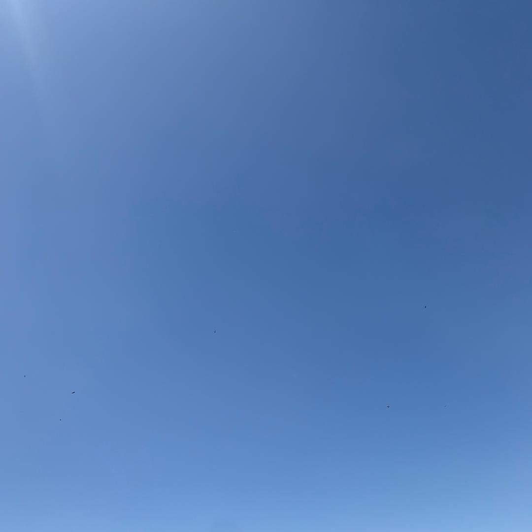 我的年少不轻狂