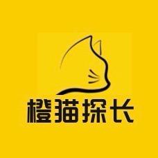 橙猫探长