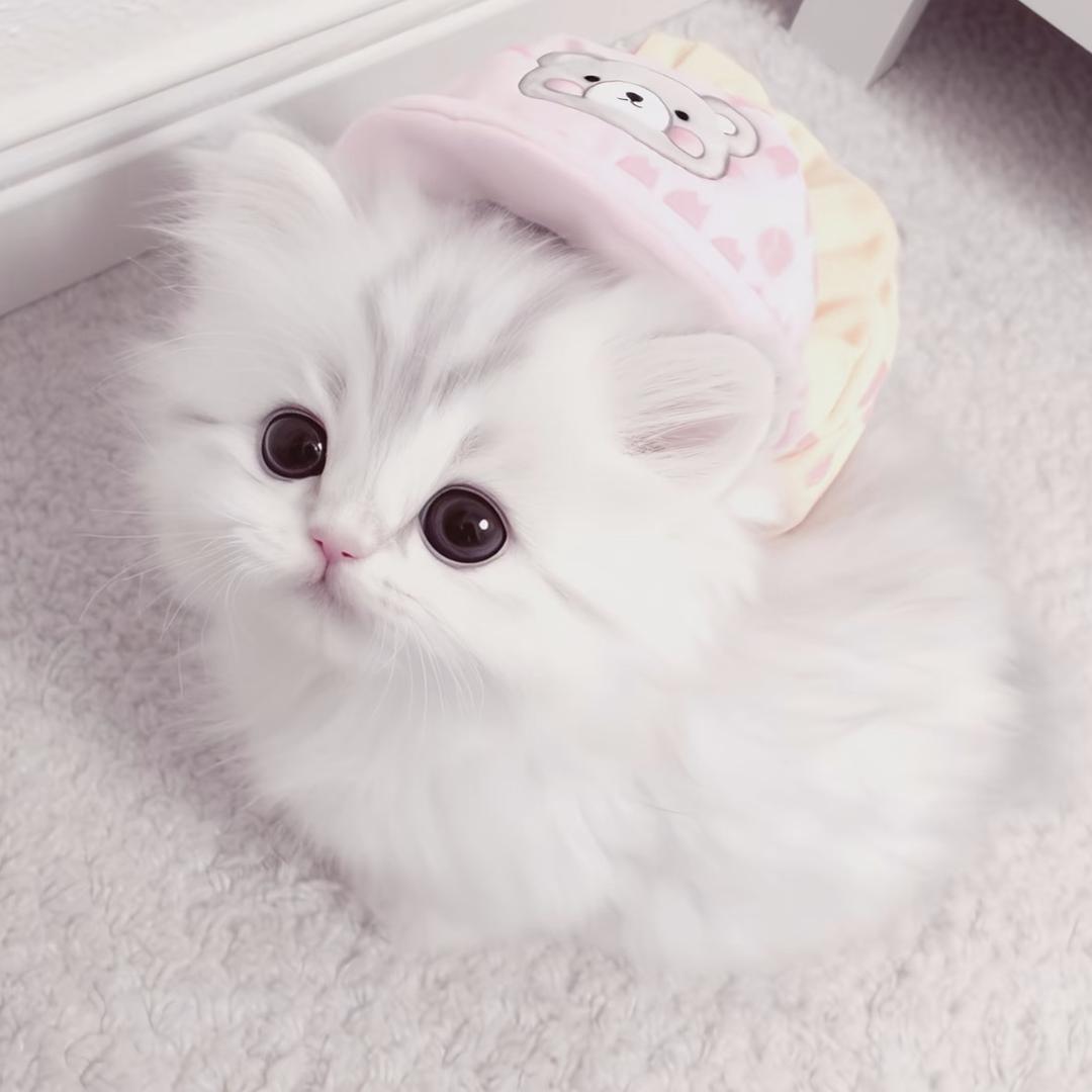 无意义的泪