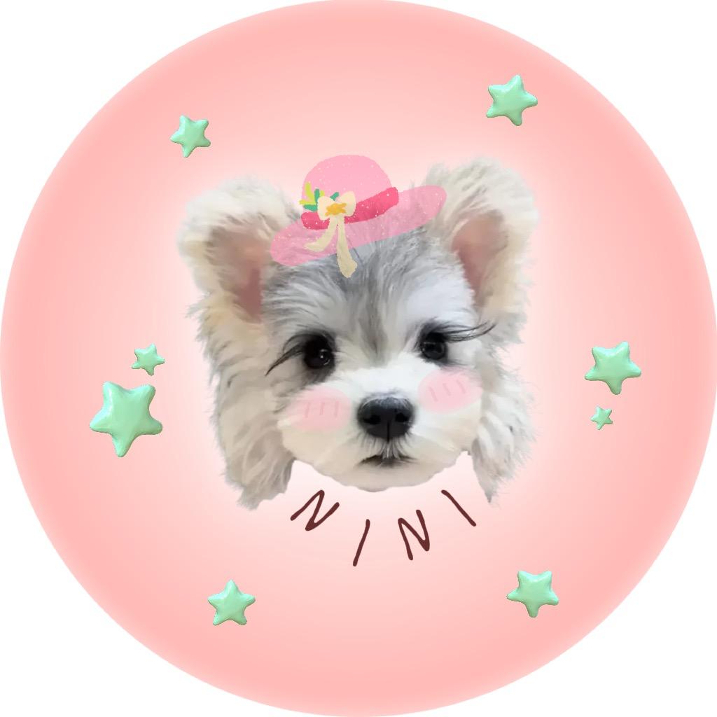妮妮nini
