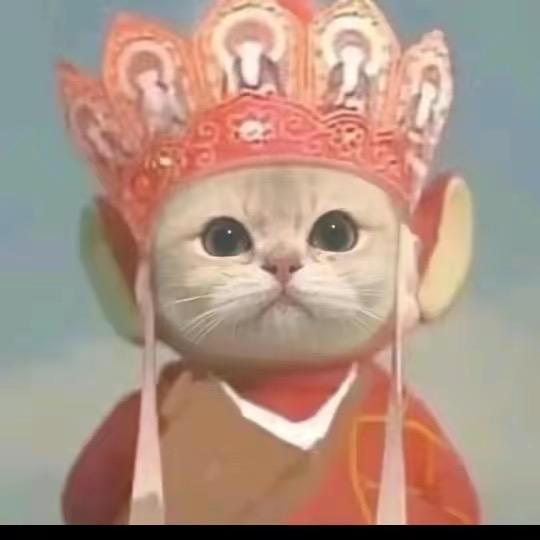 数据库