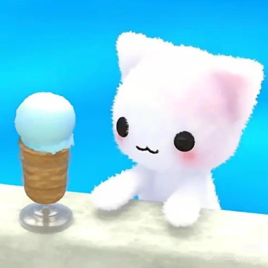 海苔苔