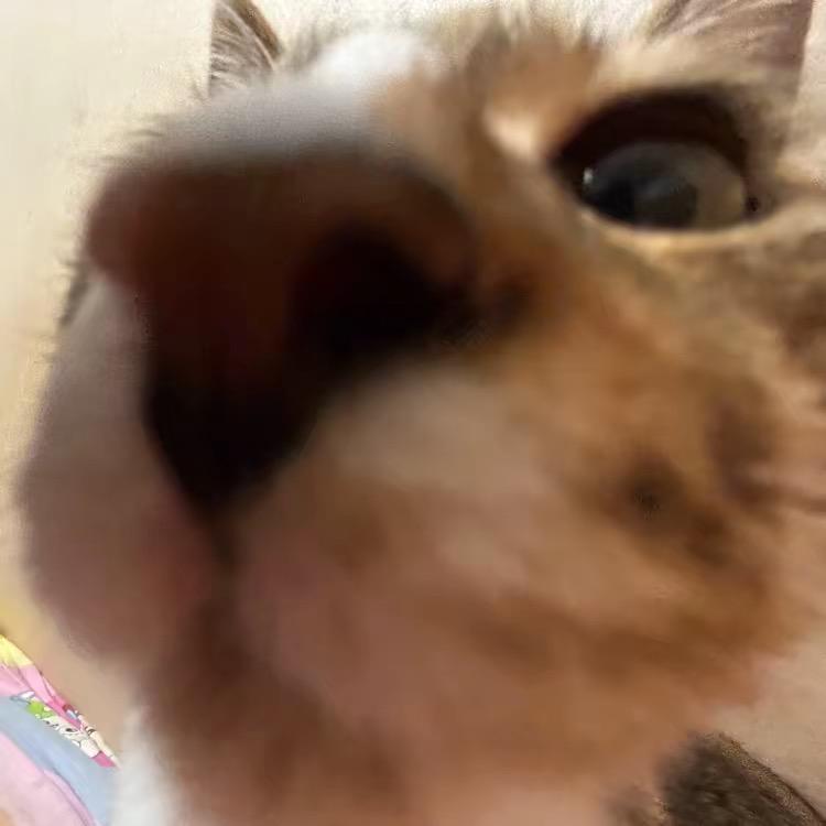 宇涵