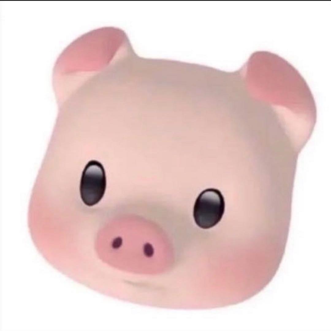 喵猫界我照的