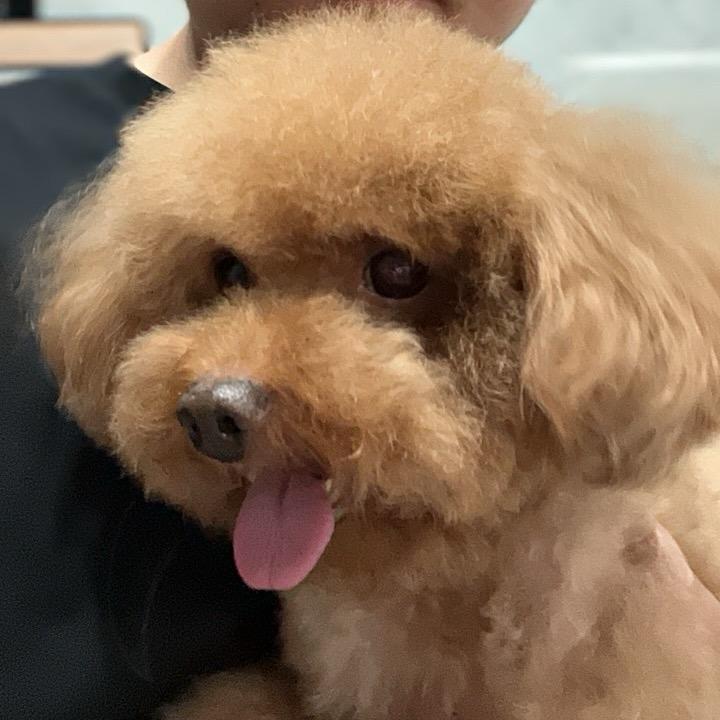 六一丶