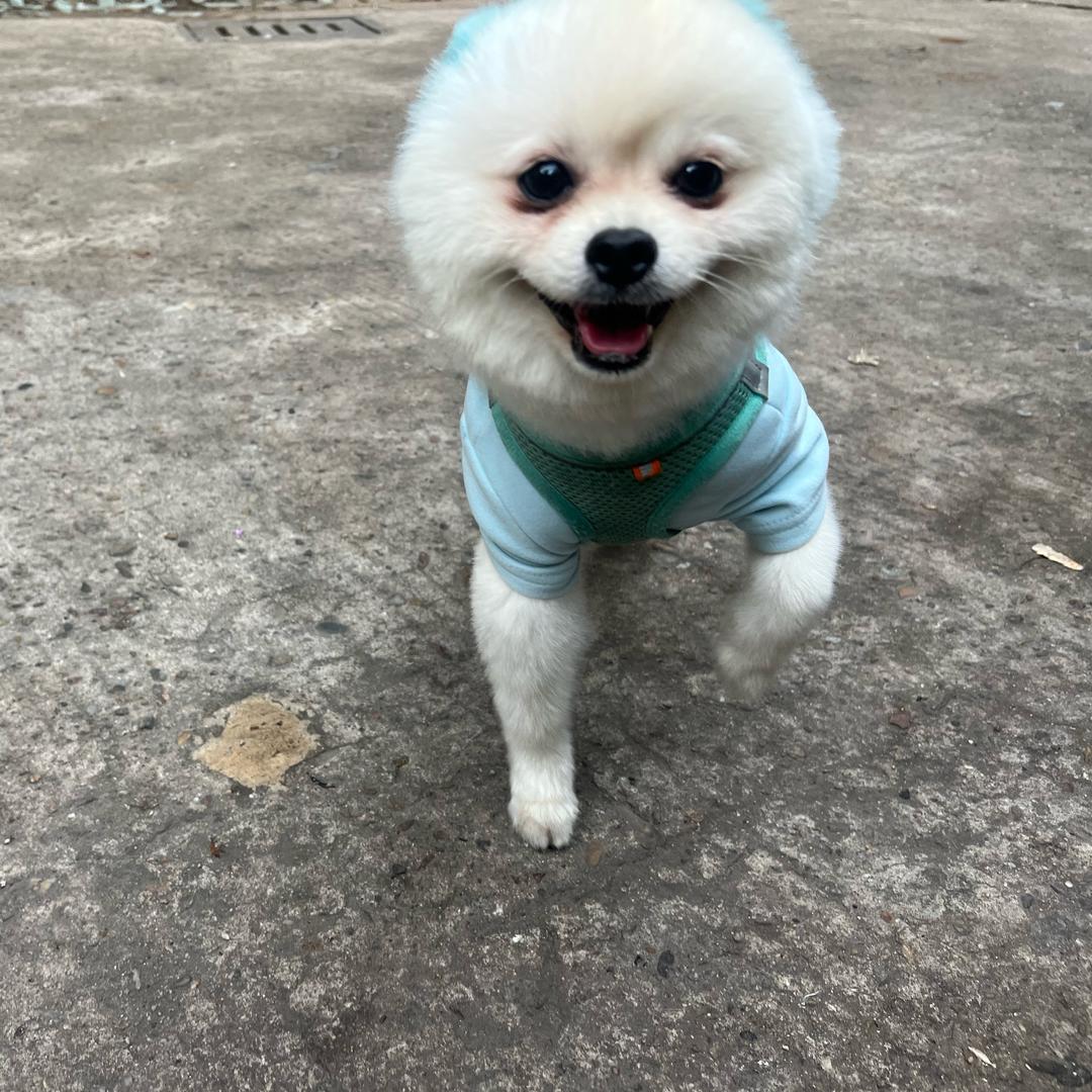 开心