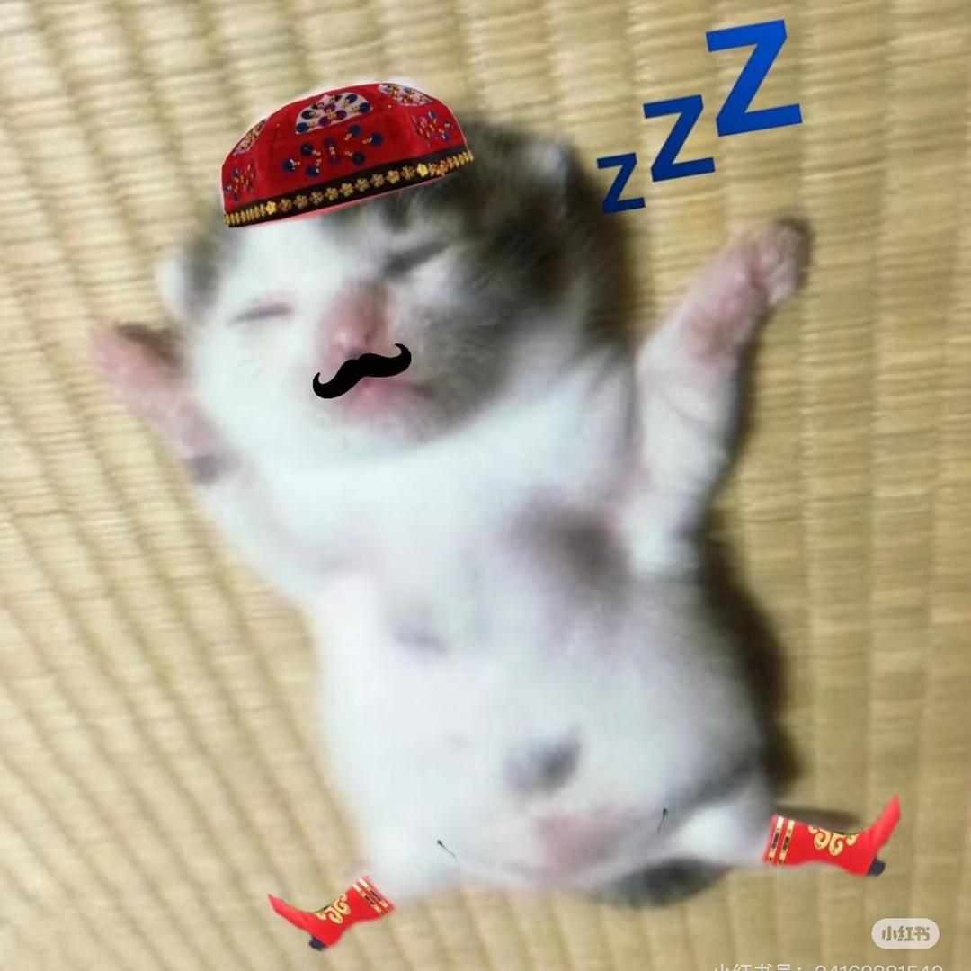 pp