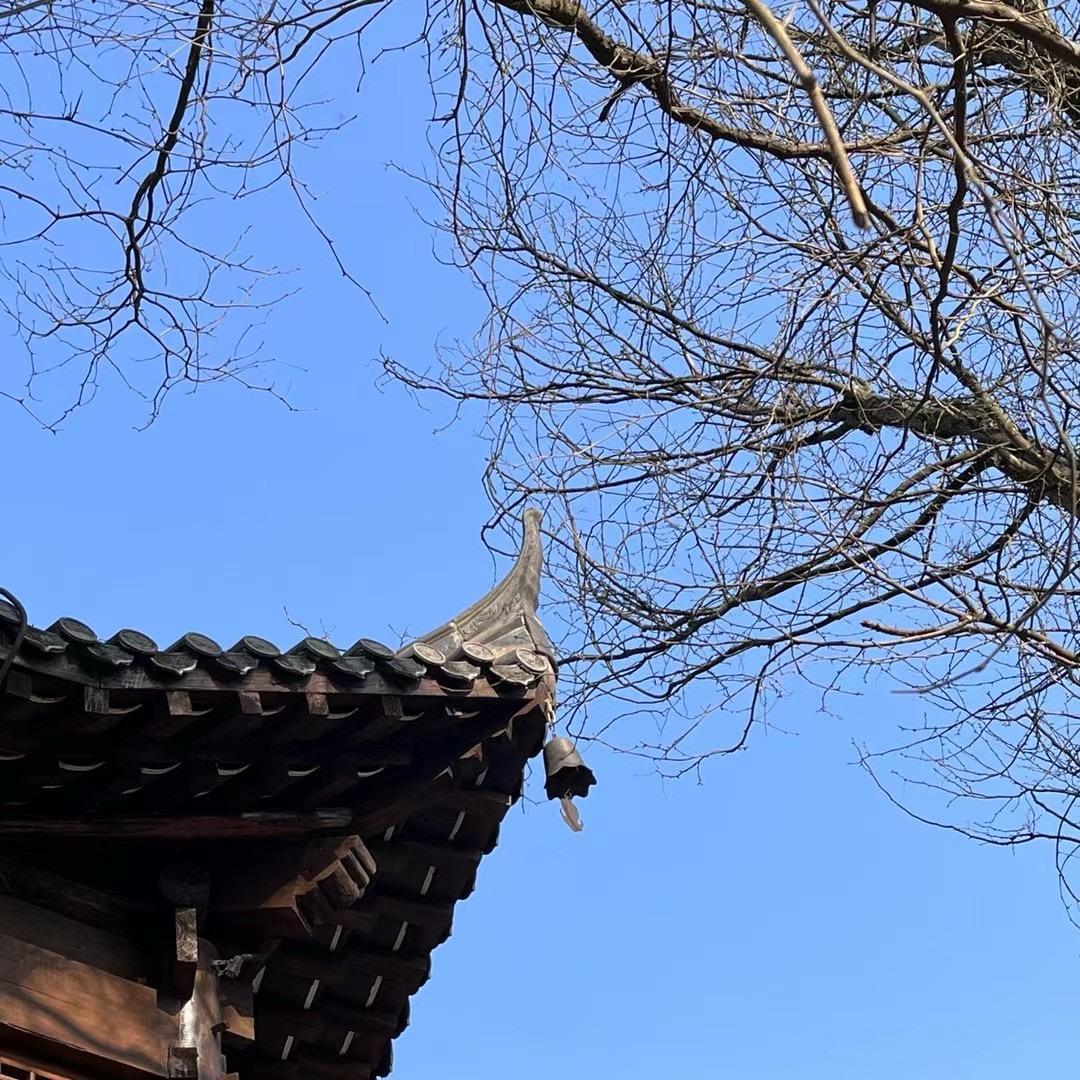 柒月柒