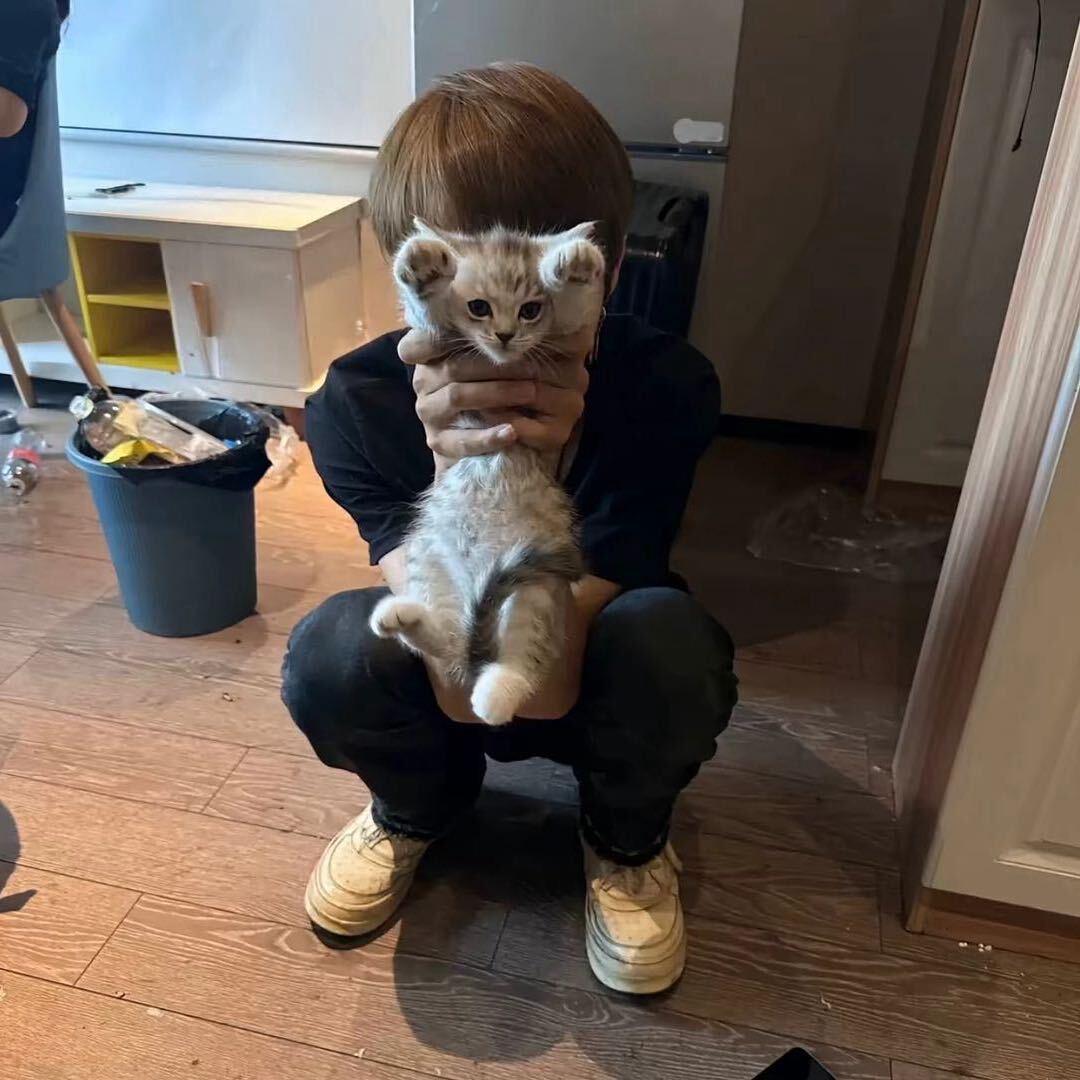 该你的