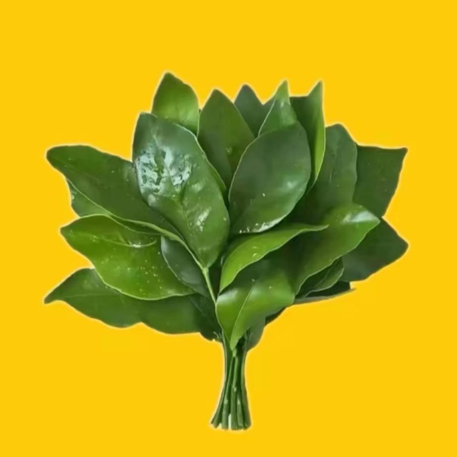 滋爆M