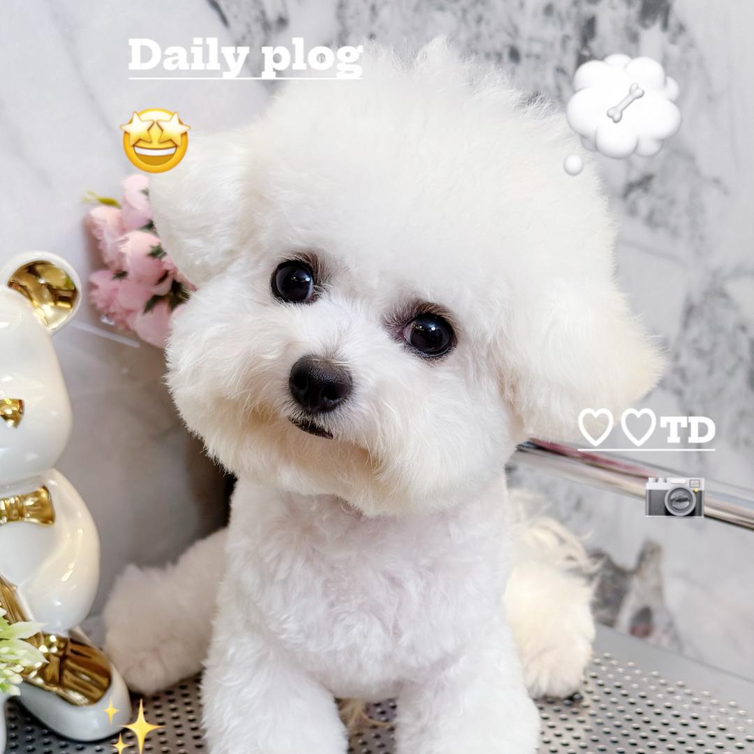 大眼睛的小年糕