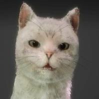 小猫多多