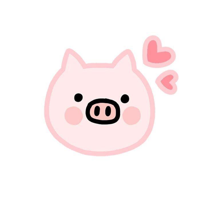 PigPig猪