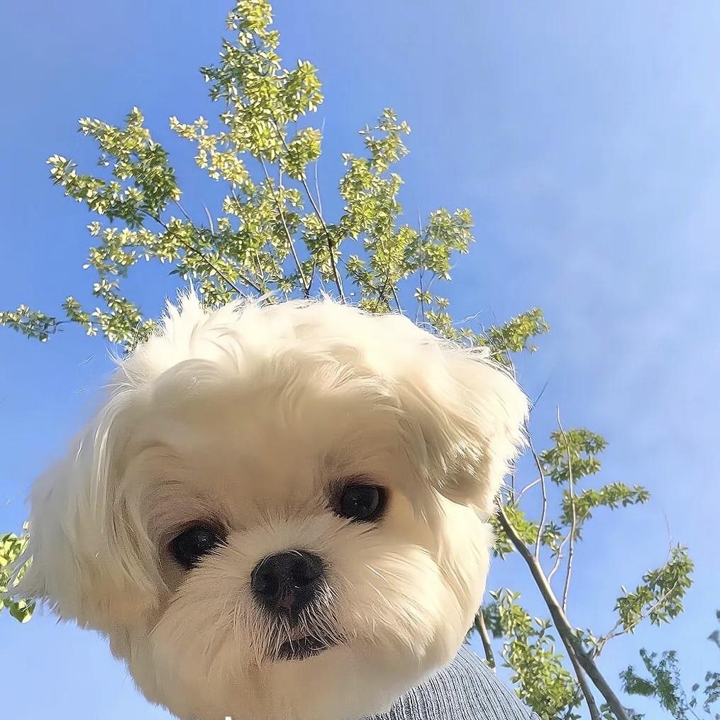 随随生活好物推荐