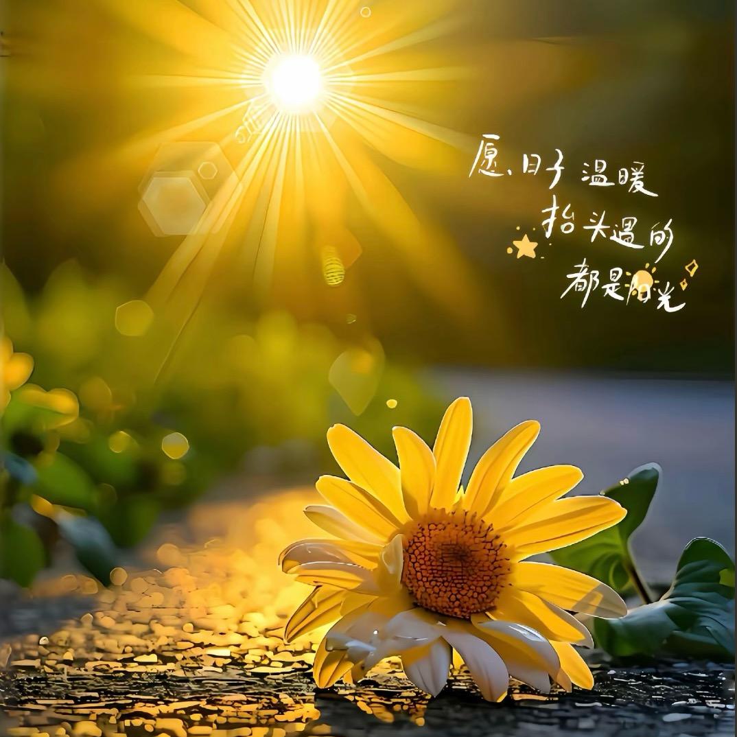 ❣️悦己