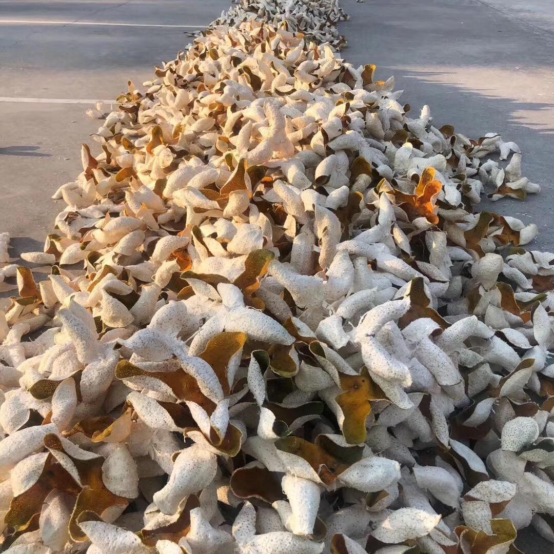 新会弘卓堂陈皮有限公司