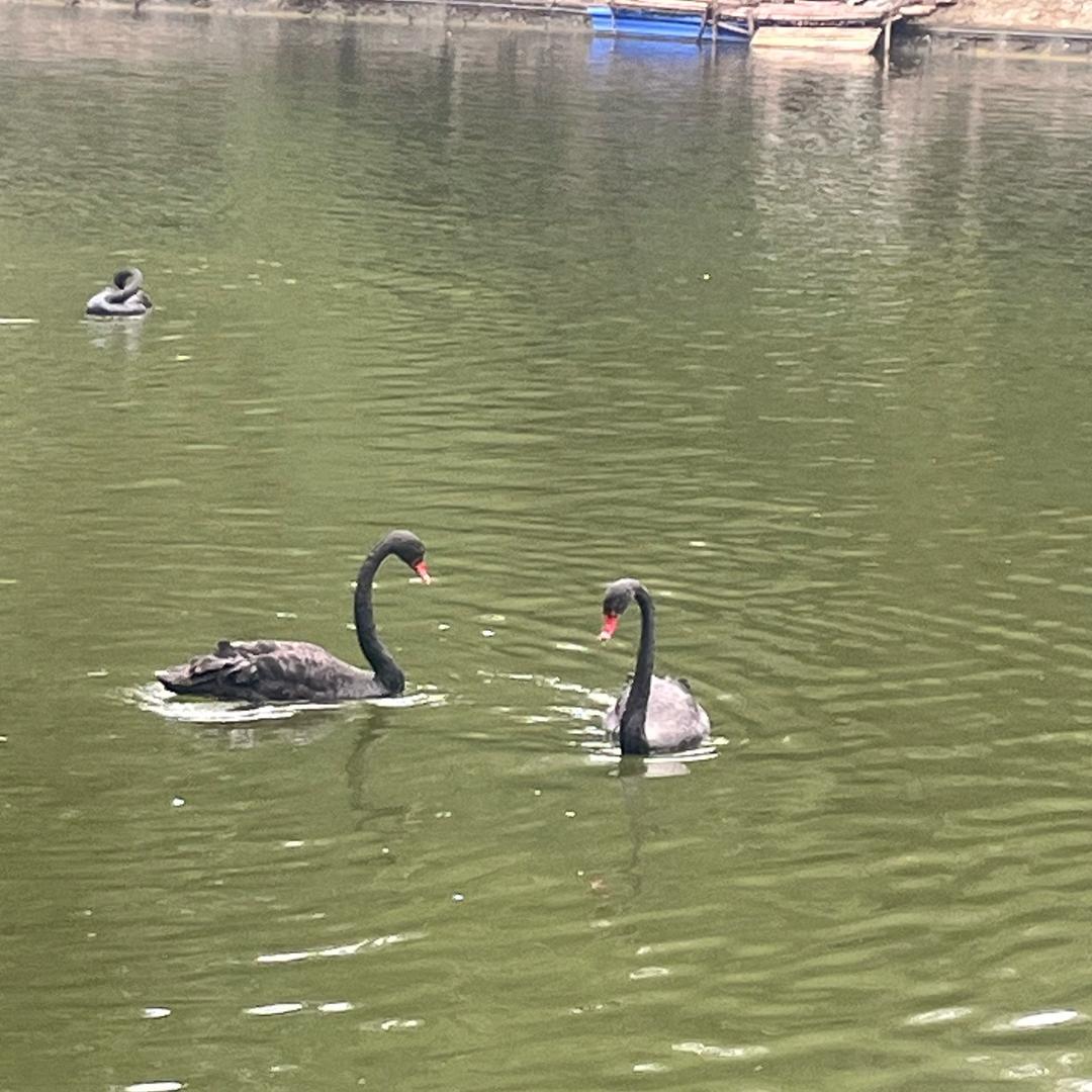 红宝石墙布窗帘鄂州店