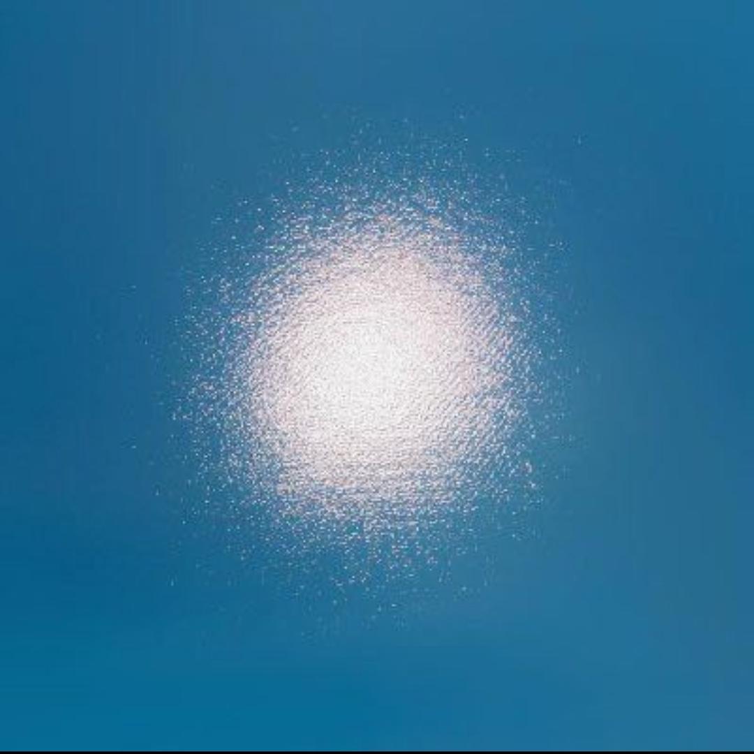 黎盦