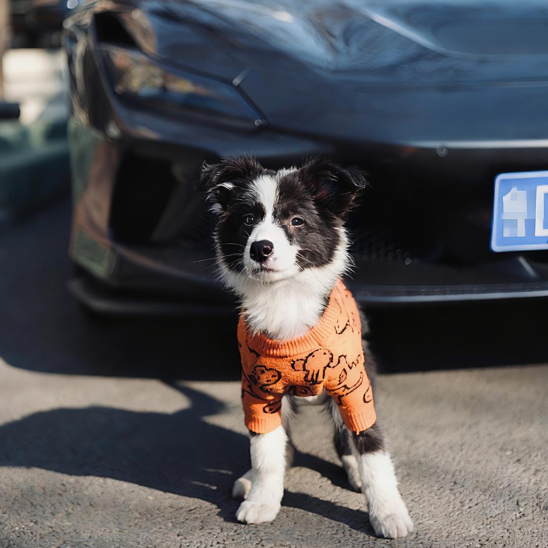 没有鸡蛋的三明治🥪