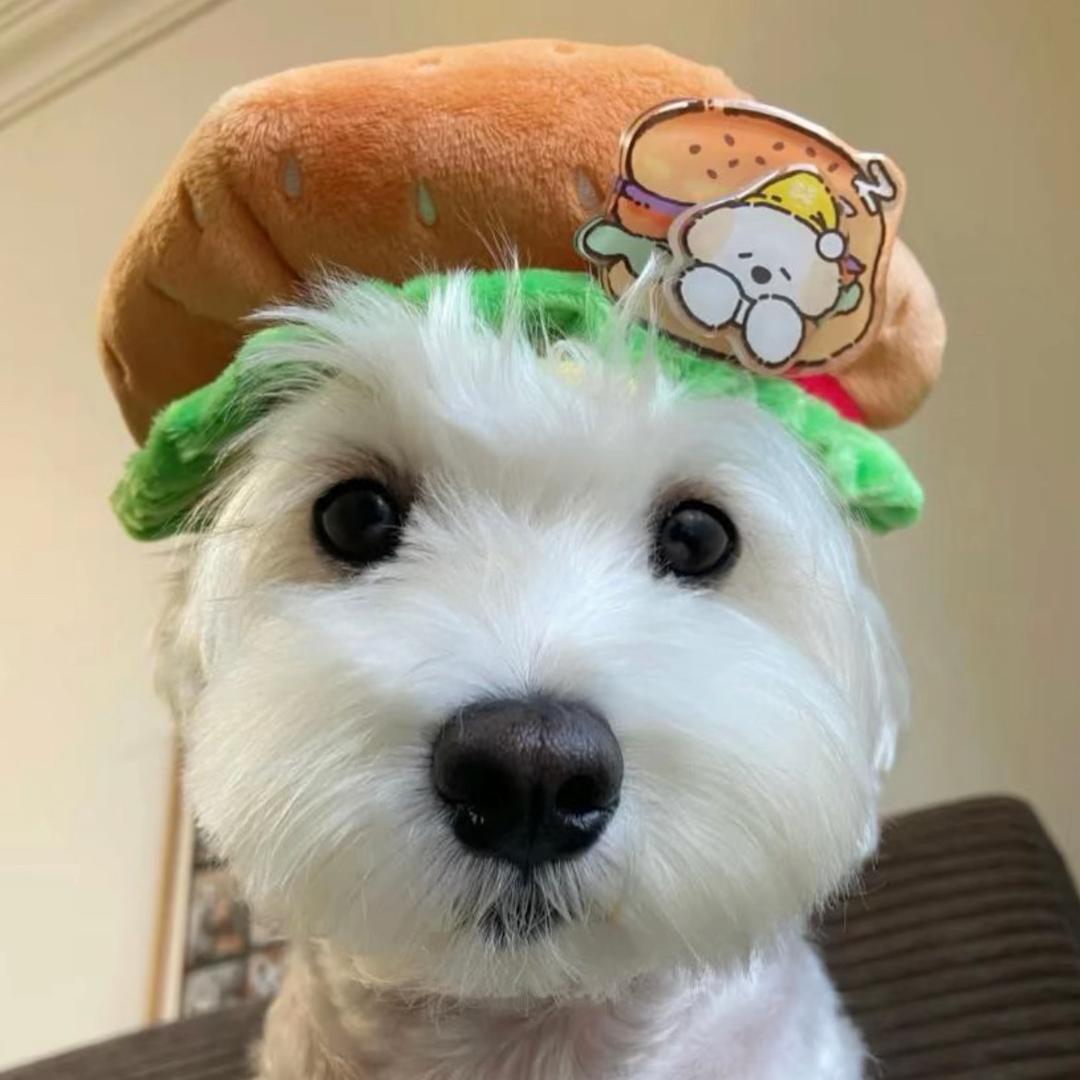 半点心