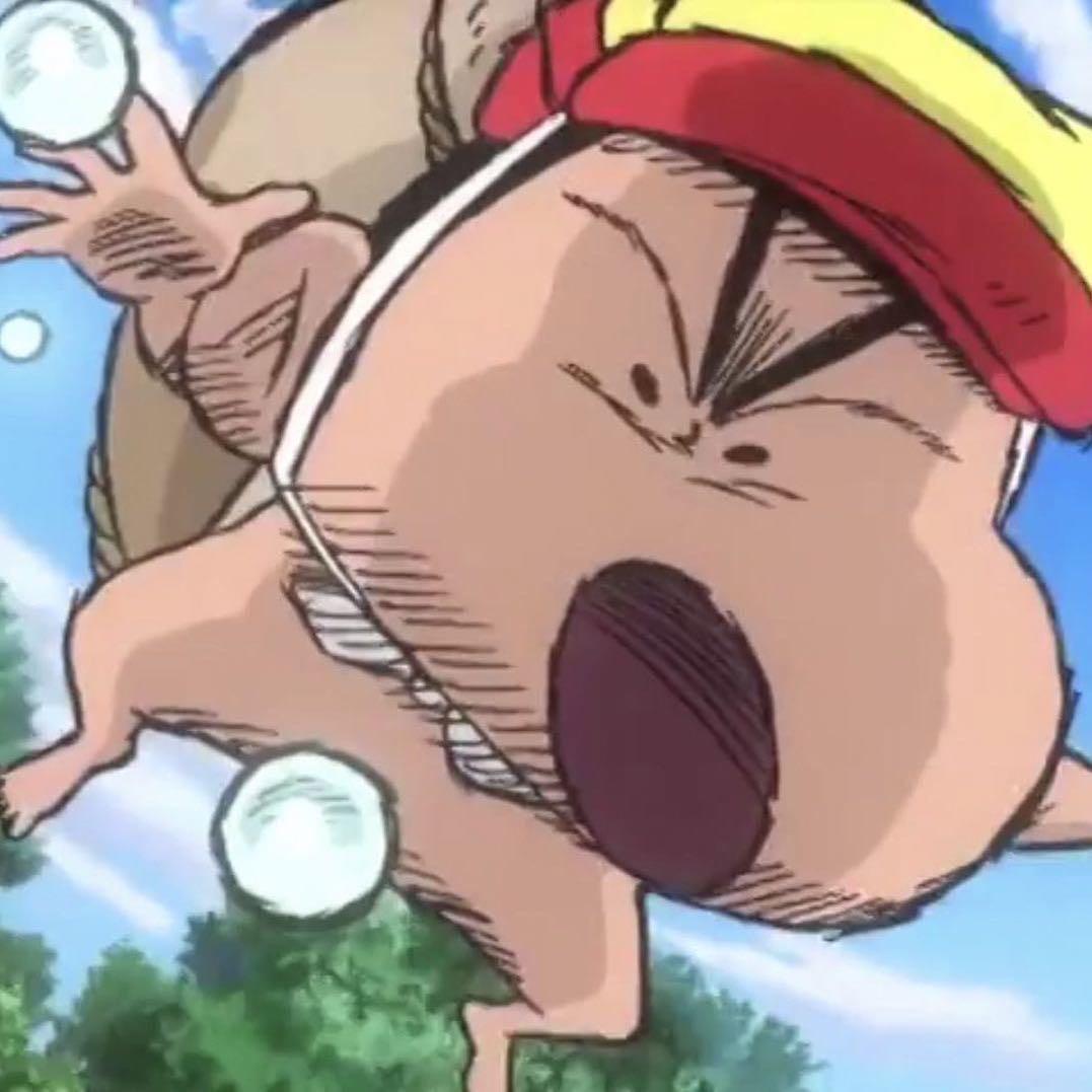 我们仍未知道那天所见到的花的名字🐾