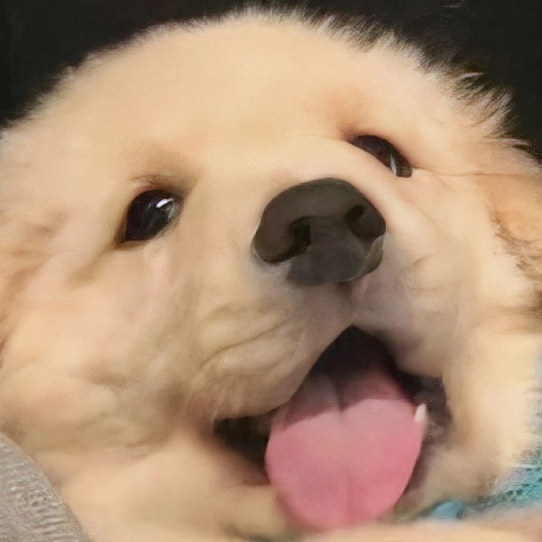 归途