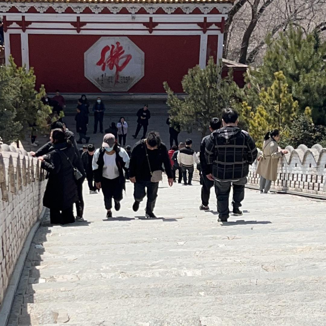 跑不快的先生