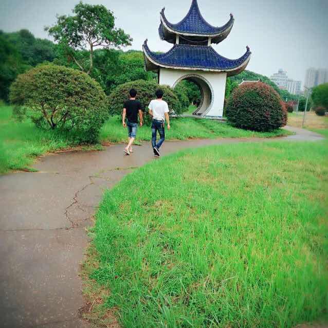 小龙哥